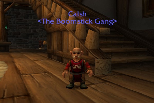 Calsh wearing a guild tabard